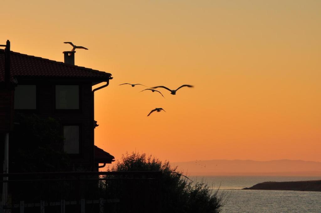 Deep Blue Guest House Sozopol Esterno foto